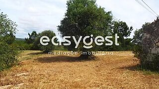 Land for sale in Torres Novas, Portugal — €315,000