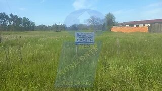 Land for sale in Anadia, Portugal — €50,000