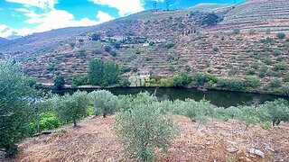 Land for sale in Tabuaço, Portugal — €110,000