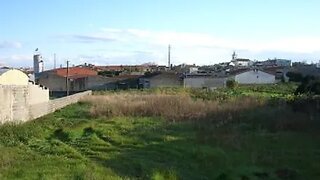 Land for sale in Águeda, Portugal — €60,000