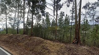 Land for sale in Vila Velha de Ródão, Portugal — €19,990