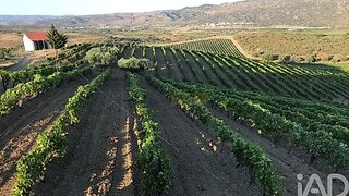 Land for sale in Vila Flor, Portugal — €840,000