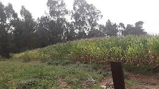 Land for sale in Vila Nova de Famalicão, Portugal — €200,000