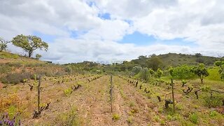 Land for sale in Silves, Portugal — €37,000