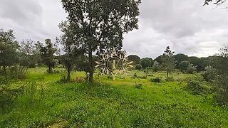 Land for sale in Montijo, Portugal — €76,500