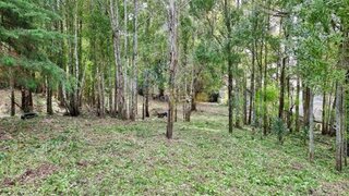 Land for sale in Sintra, Portugal — €350,000