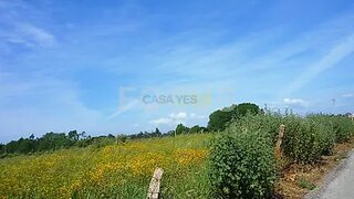 Land for sale in Oliveira do Bairro, Portugal — €60,000