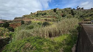 Terreno em Ponta do Sol