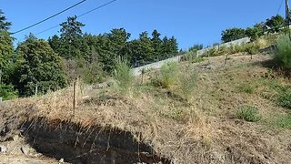 Land for sale in Lamego, Portugal — €60,000