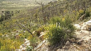 Terreno em Portalegre