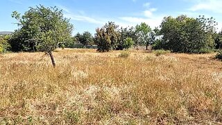 Land for sale in Loulé, Portugal — €16,500
