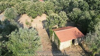 Land for sale in Ferreira do Zêzere, Portugal — €35,000