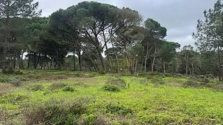 Land for sale in Sesimbra, Portugal — €123,000