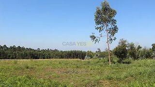 Land for sale in Santa Maria da Feira, Portugal — €209,000