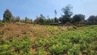 Terreno para venda em Ponte de Lima, Portugal — 57 000 €