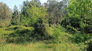 Land for sale in Águeda, Portugal — €56,555
