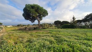Land for sale in Sesimbra, Portugal — €270,000