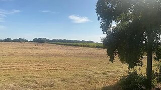 Land for sale in Vendas Novas, Portugal — €95,000