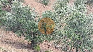 Land for sale in Castro Marim, Portugal — €34,000