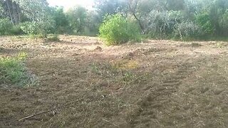 Land for sale in Ourém, Portugal — €32,000