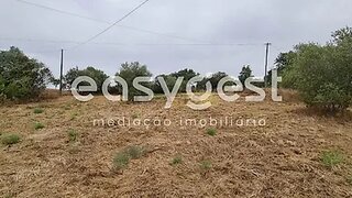 Terreno em Montemor-o-Novo