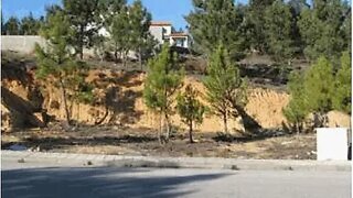 Land for sale in Mação, Portugal — €58,000