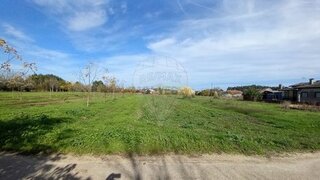 Land for sale in Anadia, Portugal — €17,500