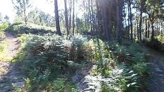 Land for sale in Caminha, Portugal — €60,000