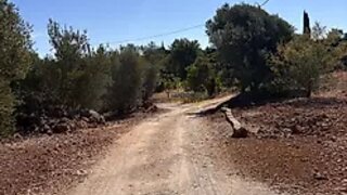 Land for sale in Silves, Portugal — €245,000