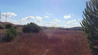 Terreno em Sines