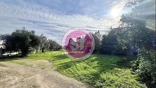 Land for sale in Mealhada, Portugal — €65,000
