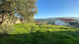 Terreno em Celorico da Beira