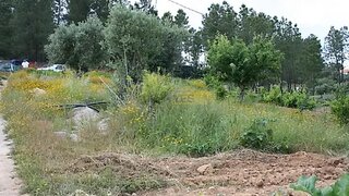 Land for sale in Abrantes, Portugal — €85,000