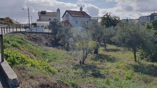 Land for sale in Proença-a-Nova, Portugal — €262,500