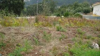 Land for sale in Águeda, Portugal — €175,000