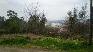 Land for sale in Oliveira de Azeméis, Portugal — €65,000