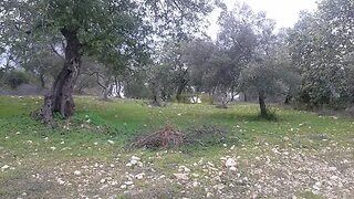 Land for sale in Loulé, Portugal — €25,000