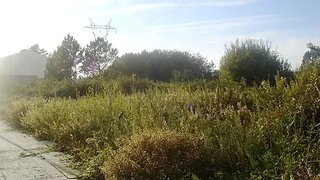 Land for sale in Valongo, Portugal — €57,500
