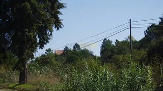 Land for sale in Tomar, Portugal — €120,000
