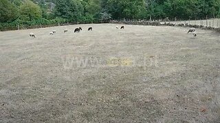 Land for sale in Vieira do Minho, Portugal — €11,500