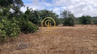 Terreno em Faro · 4120 m² · 65 000 €