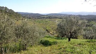 Land for sale in Penela, Portugal — €24,000