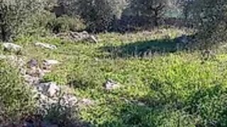 Land for sale in Porto de Mós, Portugal — €66,200