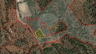 Land for sale in Torres Novas, Portugal — €1,350