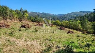 Terreno em Cabeceiras de Basto