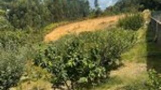 Land for sale in Monção, Portugal — €100,000