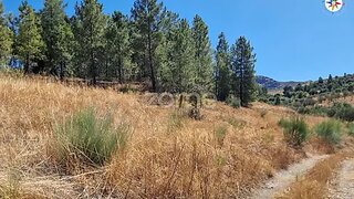 Land for sale in Mirandela, Portugal — €325,000