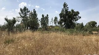 Terreno · 3000 m² · 39 950 €