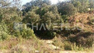 Land for sale in Tomar, Portugal — €60,000