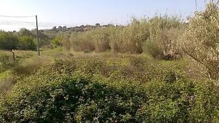 Terreno em Olhão